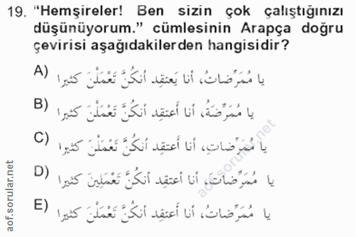 Soru 19