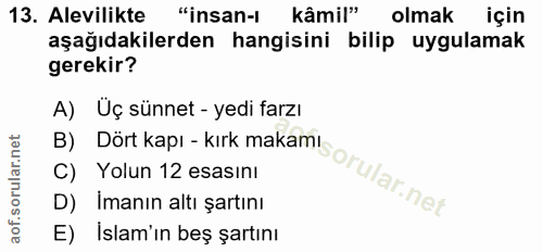 Soru 13