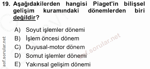 Soru 19