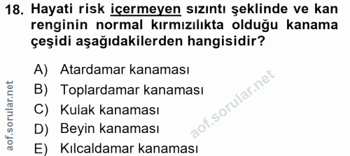 Soru 18