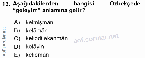 Soru 13