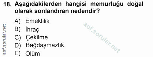 Soru 18