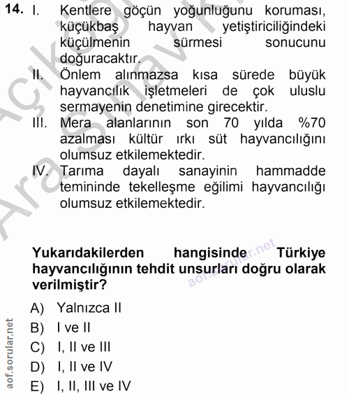 Soru 14