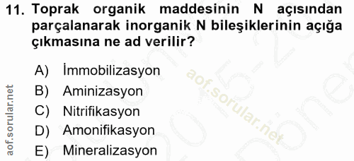 Soru 11