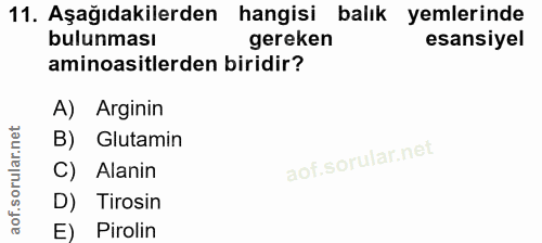 Soru 11