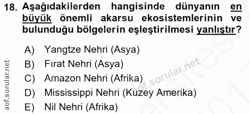 Soru 18