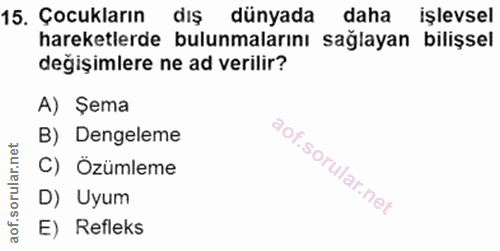 Soru 15