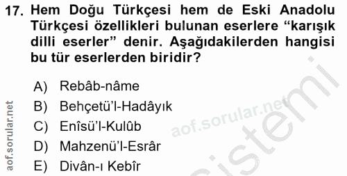 Soru 17