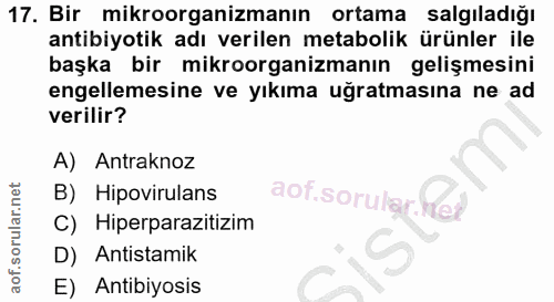Soru 17