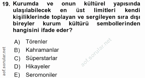 Soru 19