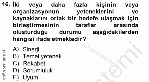 Soru 16