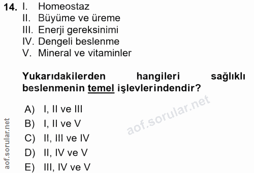 Soru 14