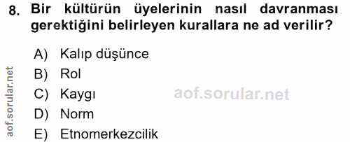 Soru 8