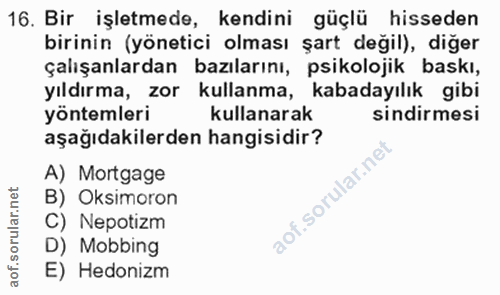 Soru 16