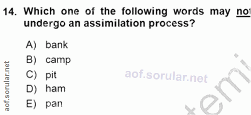 Soru 14