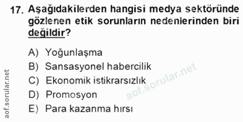 Soru 17