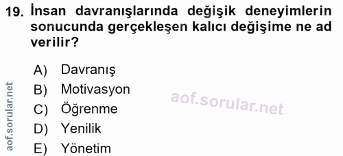 Soru 19