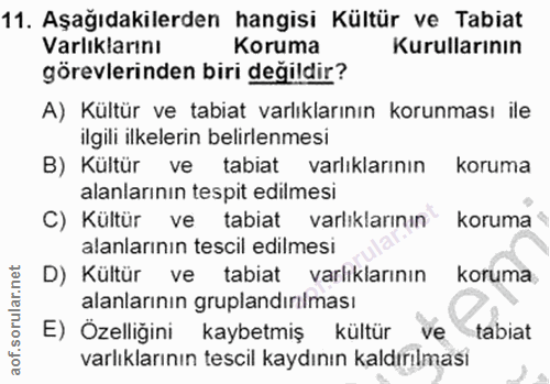 Soru 11