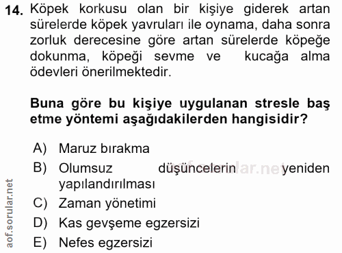 Soru 14