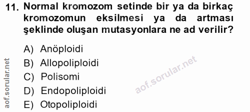Soru 11