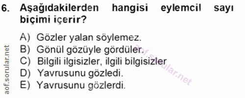 Soru 6