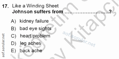 Soru 17