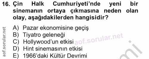 Soru 16