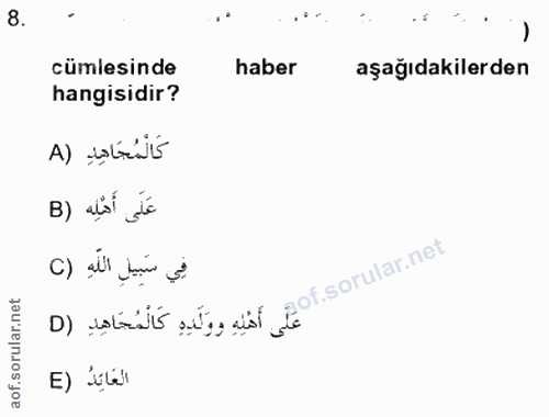 Soru 8
