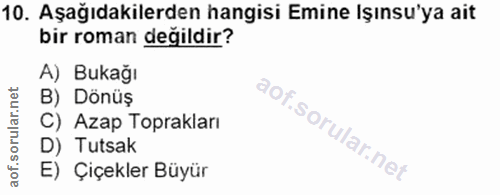 Soru 10