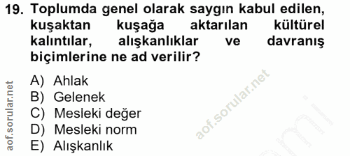 Soru 19