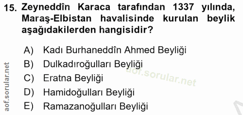 Soru 15