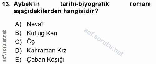Soru 13