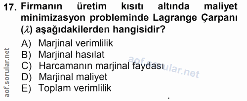 Soru 17
