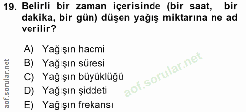 Soru 19