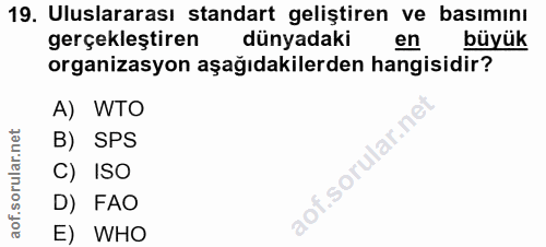 Soru 19