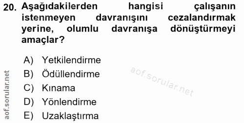 Soru 20