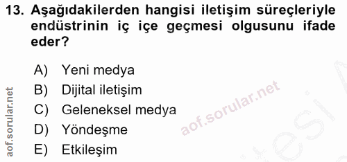 Soru 13