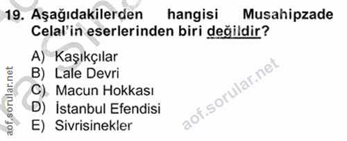 Soru 19