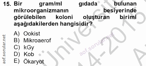 Soru 15