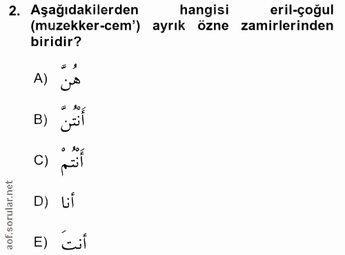 Soru 2
