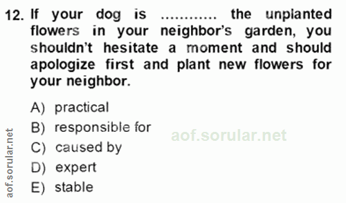 Soru 12