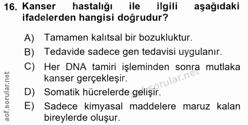 Soru 16