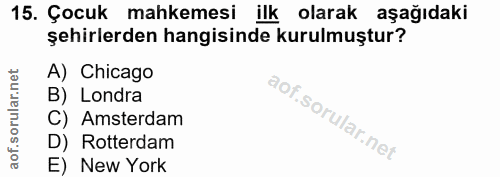 Soru 15