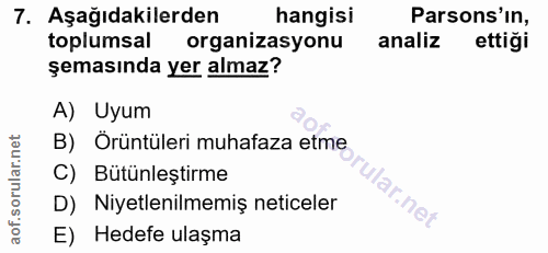 Soru 7