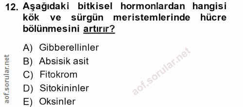 Soru 12