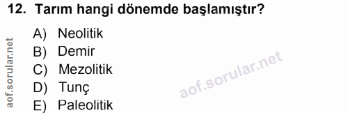Soru 12