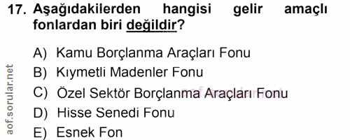 Soru 17