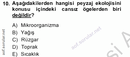 Soru 10