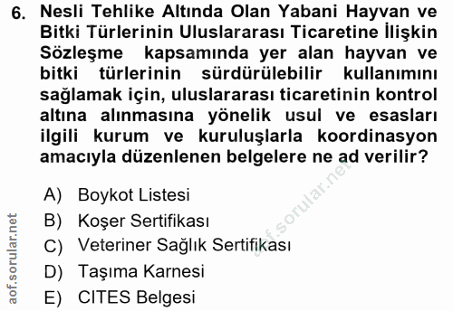 Soru 6