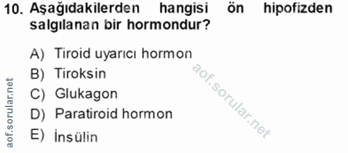 Soru 10